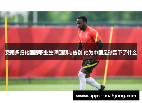 费南多归化国脚职业生涯回顾与告别 他为中国足球留下了什么